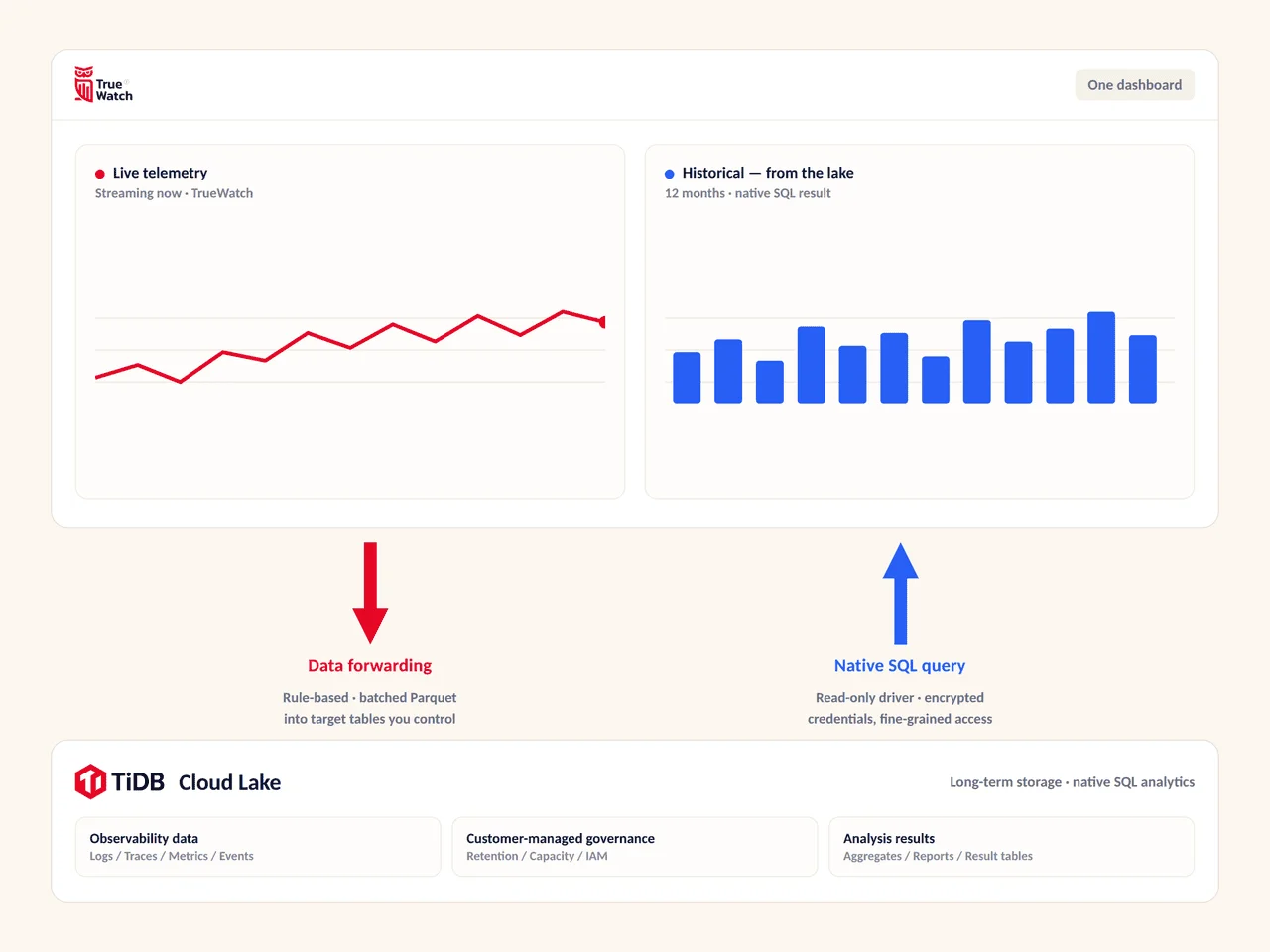 Query the cloud lake without leaving TrueWatch